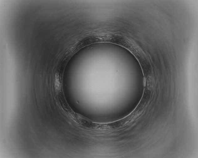 X0000110731298200906121440