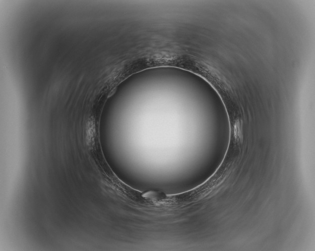 X0000110731299200906121440