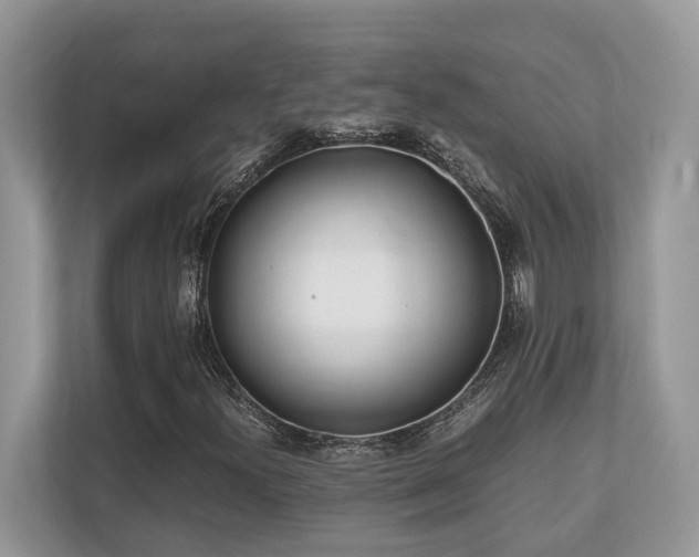 X0000110731300200906121440