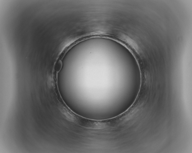 X0000110731308200906121440