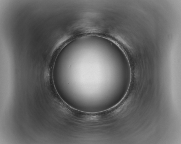 X0000110731309200906121440