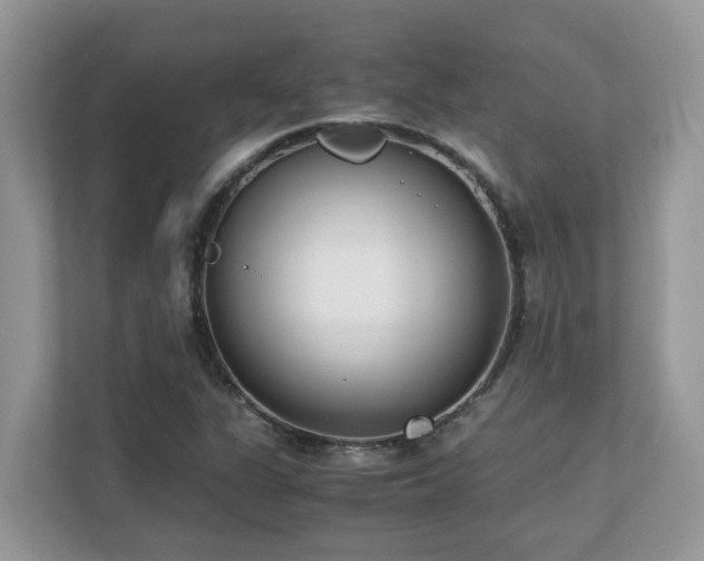 X0000110731311200906121440