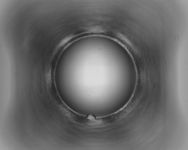 X0000110731315200906121440