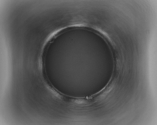 X0000110731319200906121440