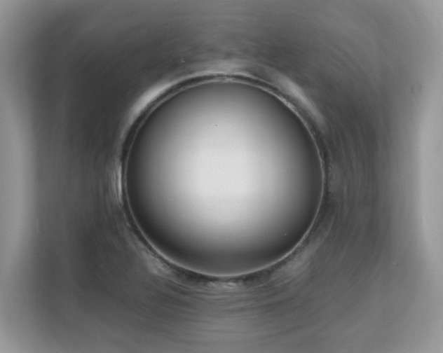 X0000110731320200906121440