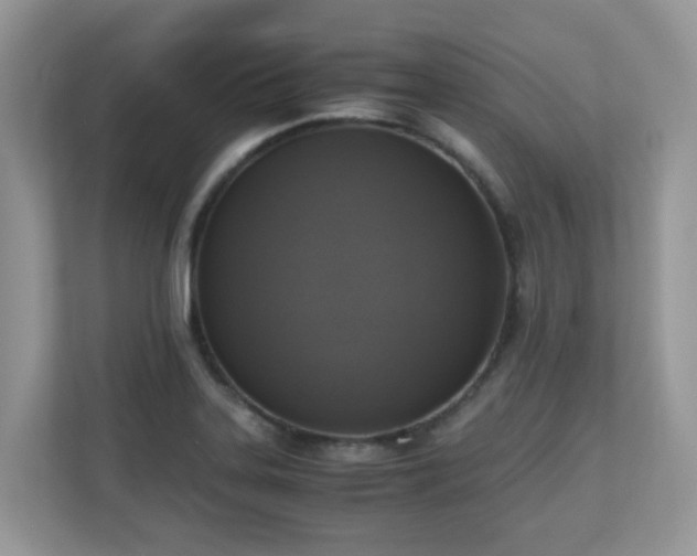 X0000110731323200906121440