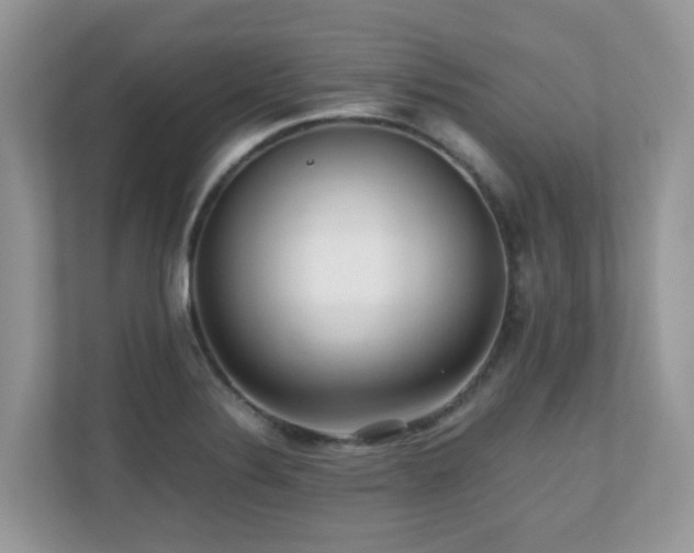 X0000110731324200906121440
