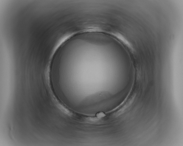 X0000110731325200906121440