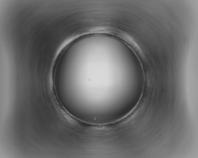 X0000110731328200906121440