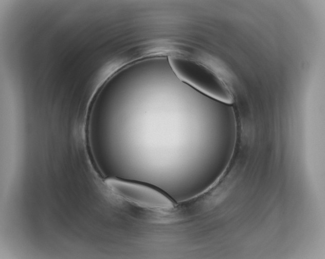 X0000110731330200906121440