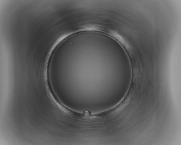 X0000110731331200906121440