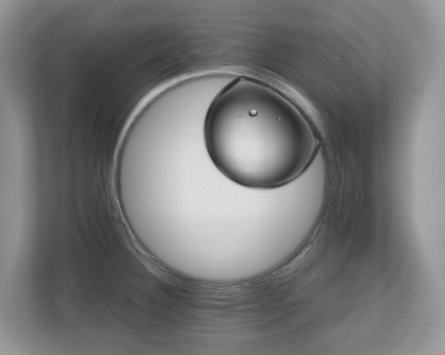 X0000110731332200906121440