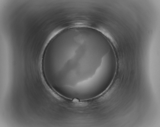 X0000110731333200906121440