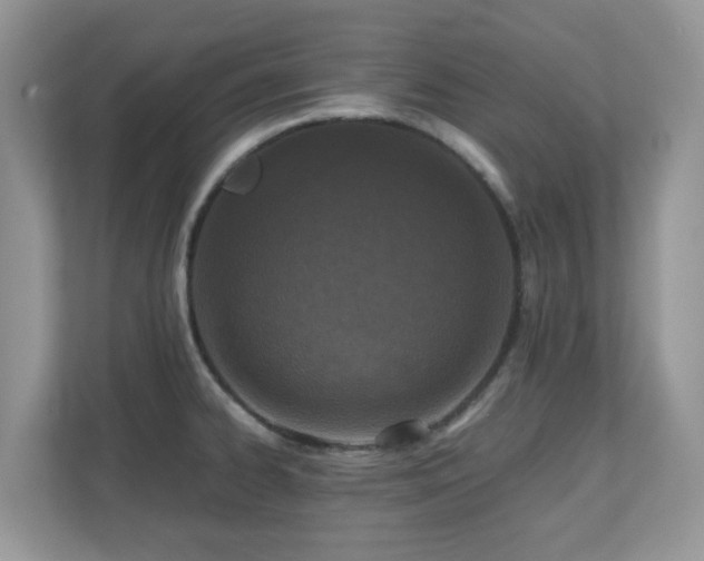 X0000110731334200906121440