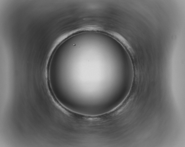 X0000110731335200906121440