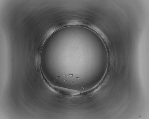 X0000110731337200906121440