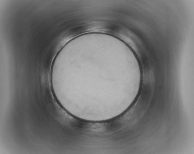 X0000110731338200906121440