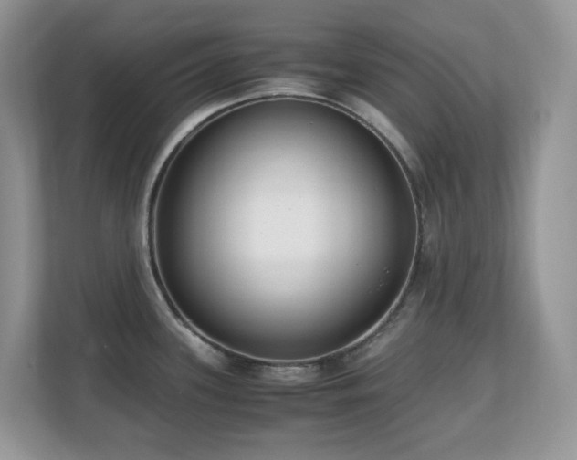 X0000110731339200906121440