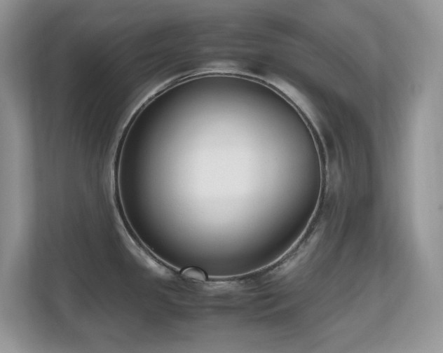 X0000110731341200906121440