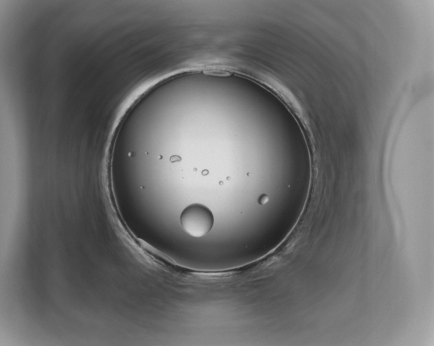 X0000110731344200906121440