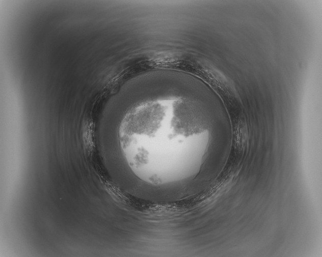 X0000110731346200906121440