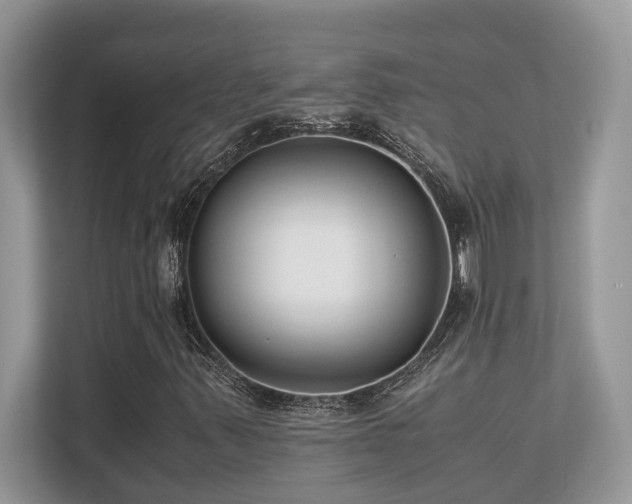 X0000110731347200906121440