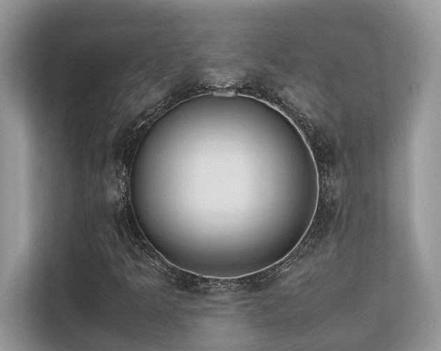 X0000110731349200906121440