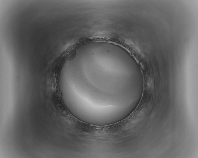 X0000110731350200906121440