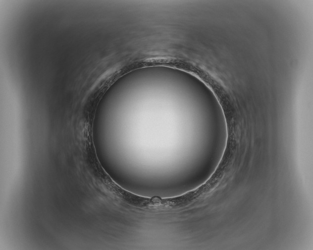 X0000110731351200906121440