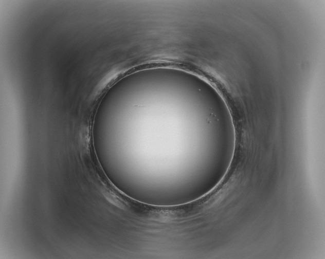X0000110731355200906121440