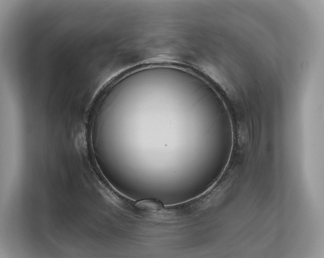 X0000110731356200906121440