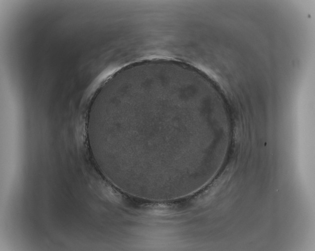 X0000110731359200906121440