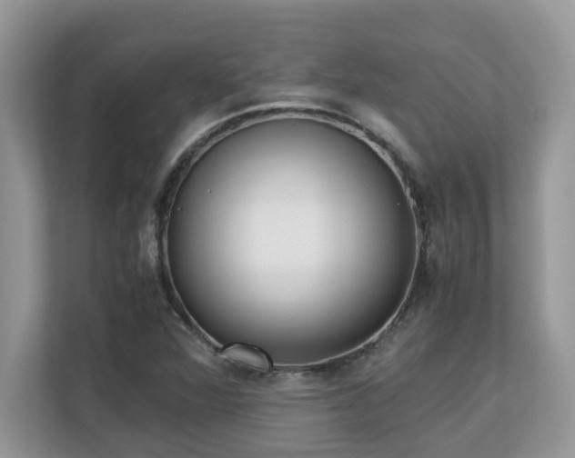 X0000110731360200906121440