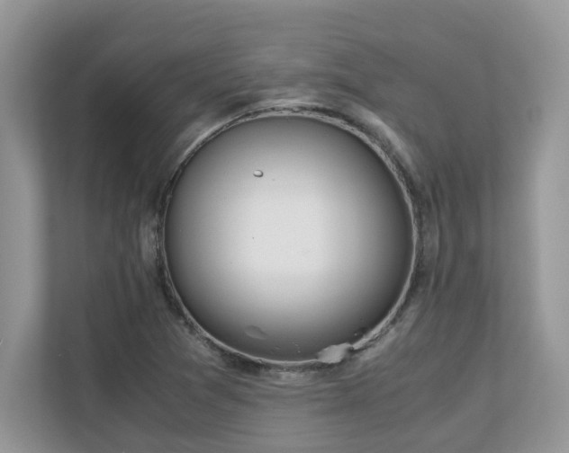 X0000110731361200906121440