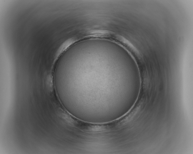 X0000110731362200906121440