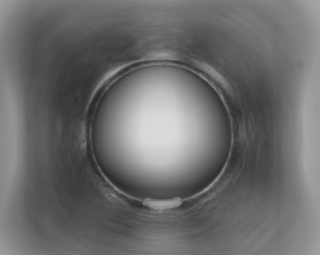X0000110731364200906121440
