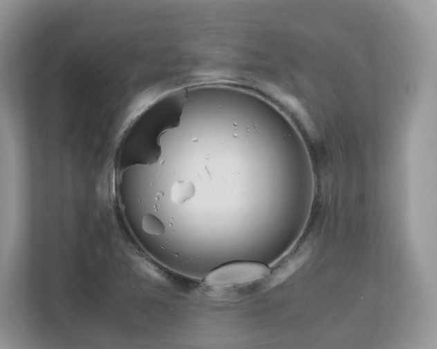 X0000110731365200906121440