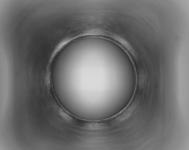 X0000110731366200906121440