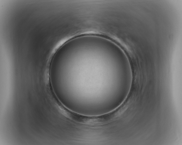 X0000110731367200906121440