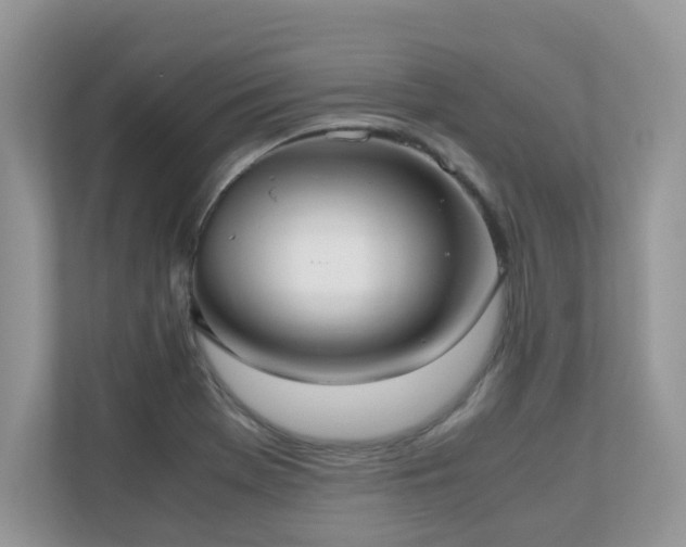 X0000110731369200906121440