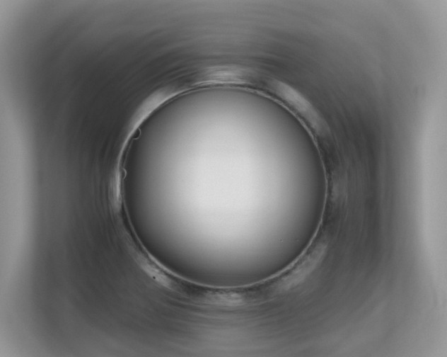 X0000110731370200906121440