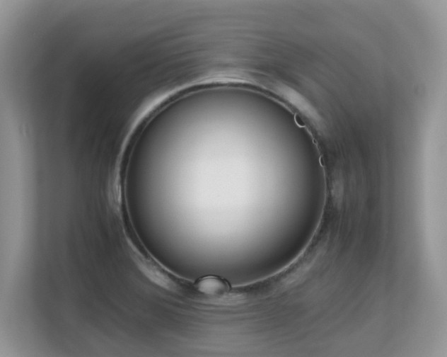 X0000110731372200906121440