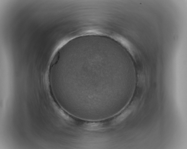 X0000110731373200906121439