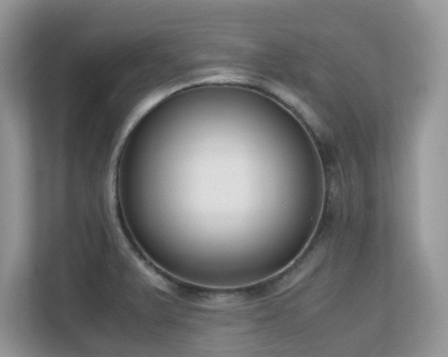 X0000110731375200906121439
