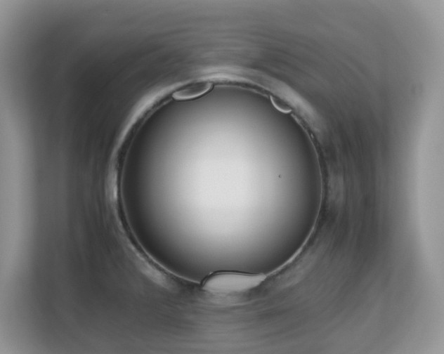 X0000110731376200906121439
