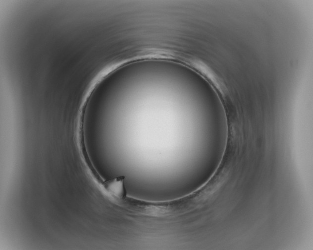 X0000110731379200906121439