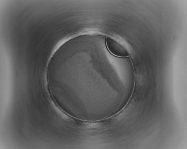 X0000110731382200906121439
