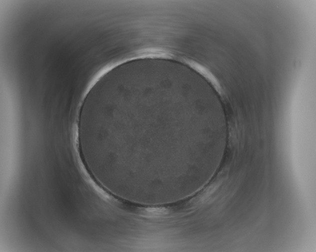 X0000110731383200906121439