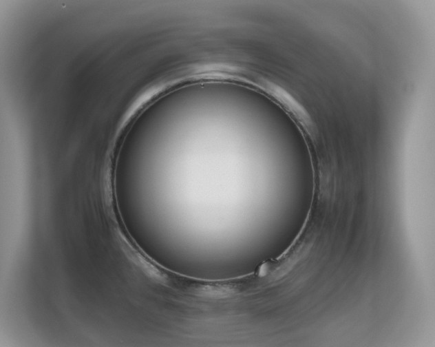 X0000110731384200906121439
