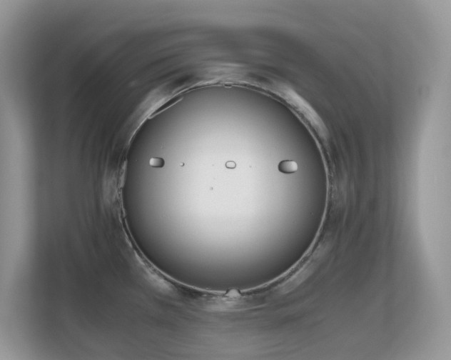X0000110731385200906121439